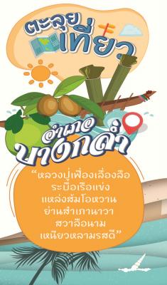 อำเภอบางกล่ำ Bangklum