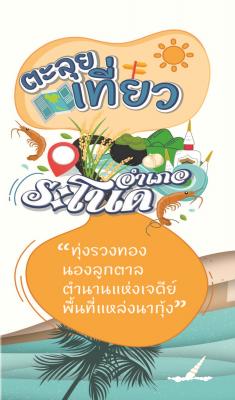 อำเภอระโนด RANOD